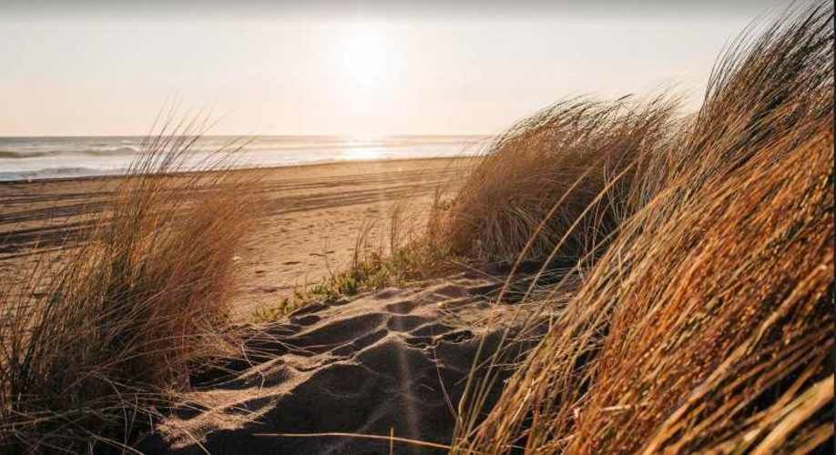 OTROS Playa de Villa Esperanza