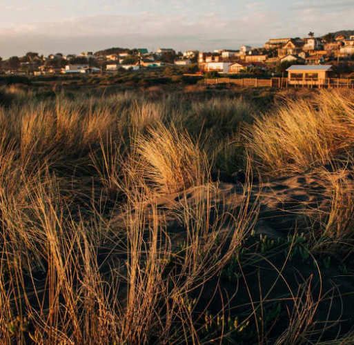 OTROS Playa de Villa Esperanza