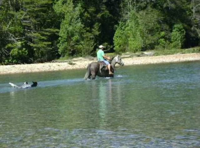 SITIO Río Traidor El Camote