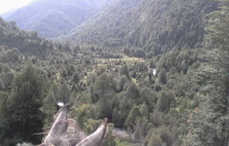 OTROS Río Traidor El Camote