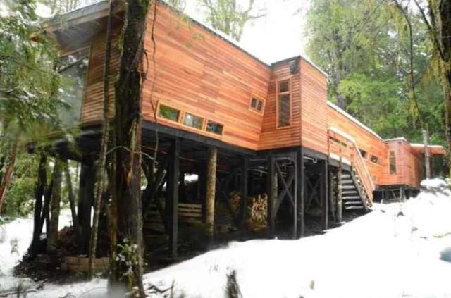 PARCELA Biosfera Huilo Huilo