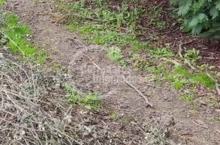 TERRENO CONSTRUCCION Linares