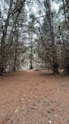 TERRENO CONSTRUCCION Pichilemu
