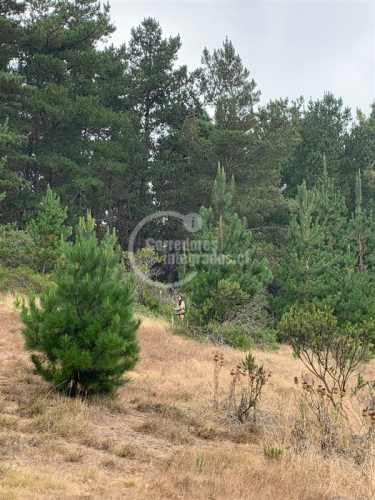 TERRENO CONSTRUCCION Pichilemu