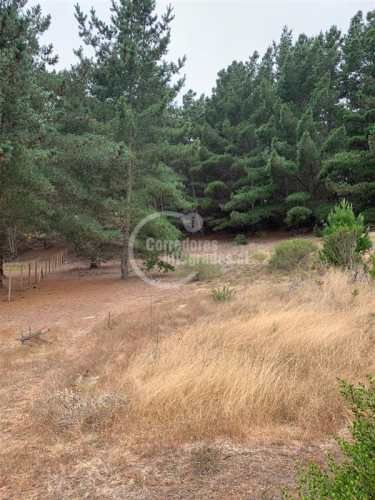 TERRENO CONSTRUCCION Pichilemu