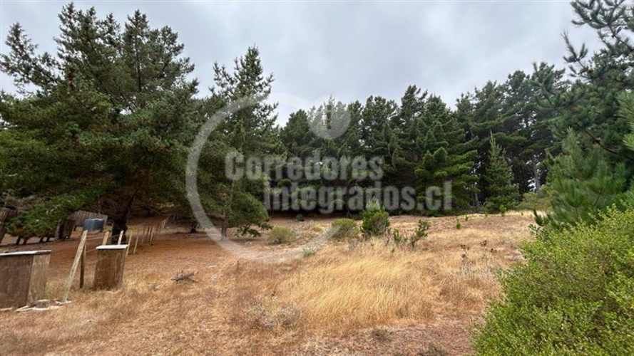 TERRENO CONSTRUCCION Pichilemu