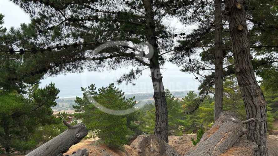 TERRENO CONSTRUCCION Pichilemu