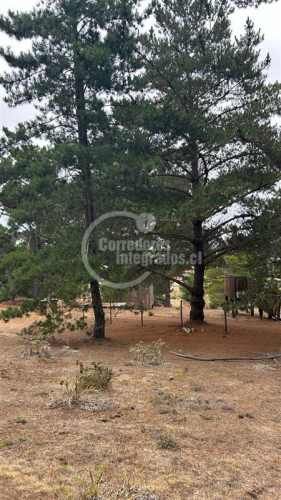 TERRENO CONSTRUCCION Pichilemu