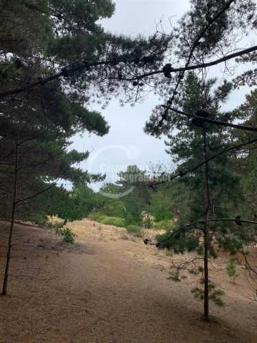 TERRENO CONSTRUCCION Pichilemu