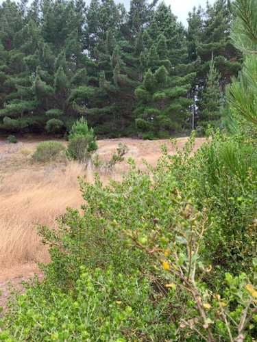 TERRENO CONSTRUCCION Pichilemu