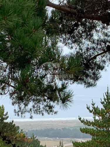 TERRENO CONSTRUCCION Pichilemu