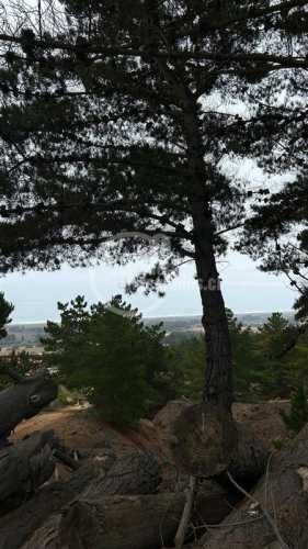 TERRENO CONSTRUCCION Pichilemu