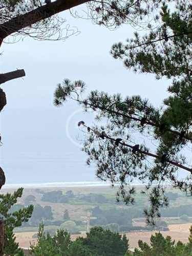 TERRENO CONSTRUCCION Pichilemu