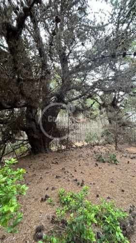 TERRENO CONSTRUCCION Pichilemu