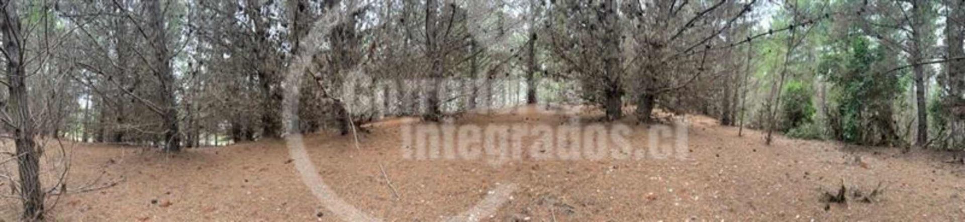 TERRENO CONSTRUCCION Pichilemu