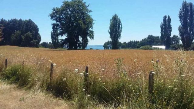TERRENO CONSTRUCCION Lago Ranco