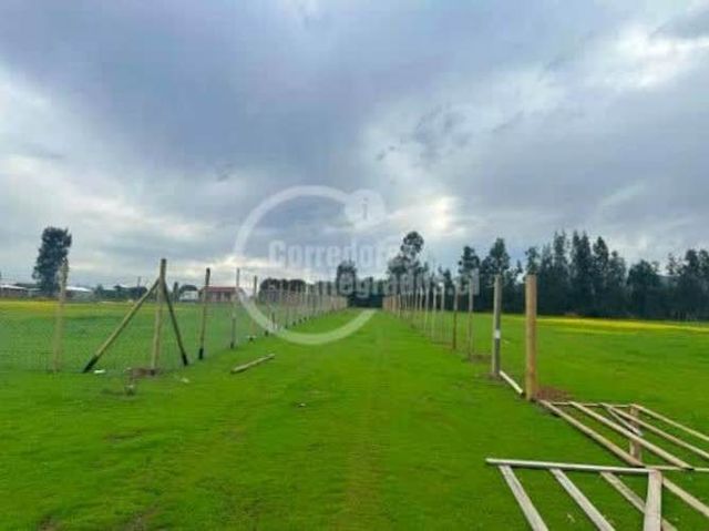 TERRENO CONSTRUCCION San Francisco de Limache