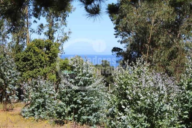 TERRENO CONSTRUCCION Pichilemu