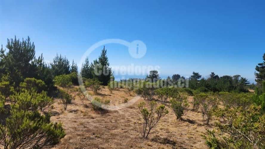 TERRENO CONSTRUCCION El Chorrillo