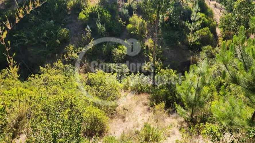 TERRENO CONSTRUCCION El Chorrillo