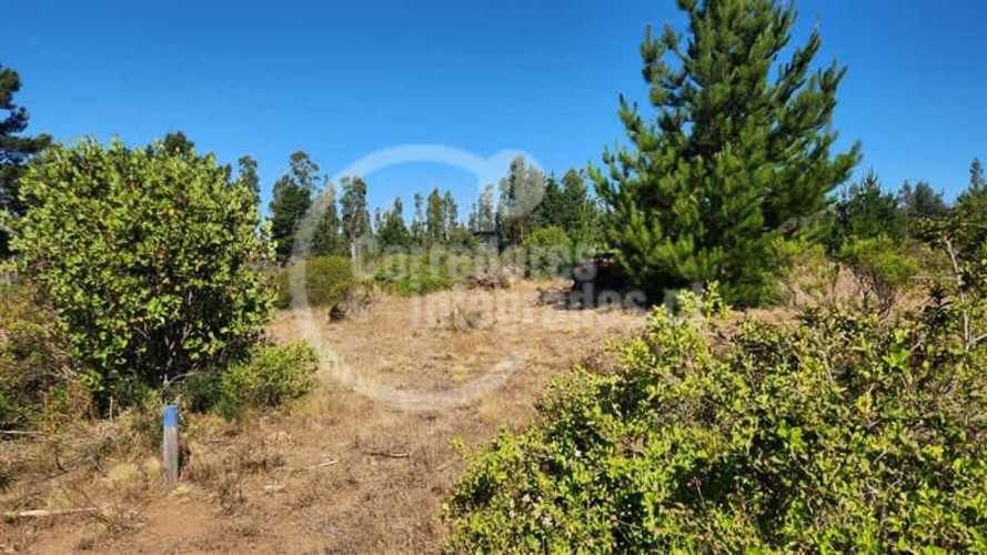 TERRENO CONSTRUCCION El Chorrillo