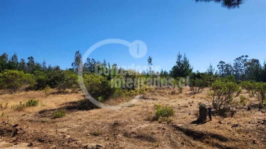 TERRENO CONSTRUCCION El Chorrillo