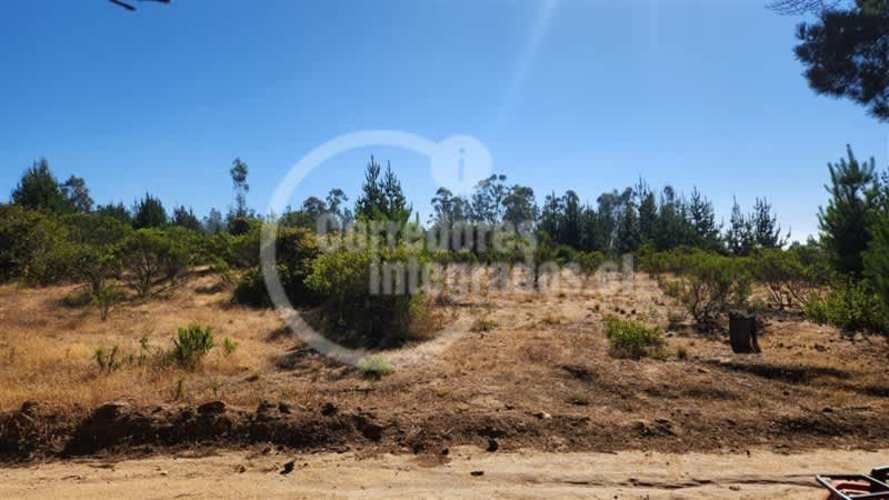 TERRENO CONSTRUCCION El Chorrillo