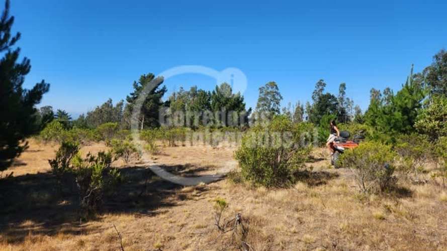 TERRENO CONSTRUCCION El Chorrillo