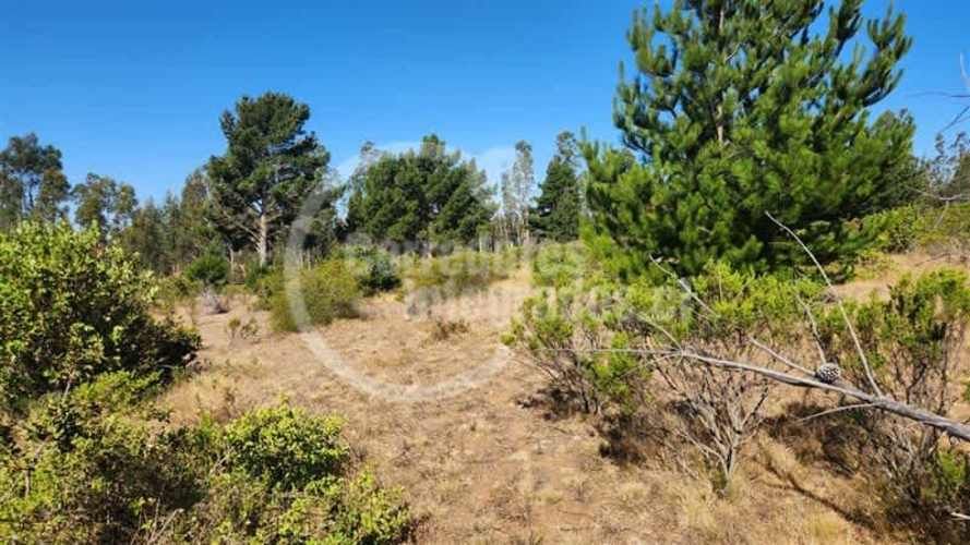 TERRENO CONSTRUCCION El Chorrillo