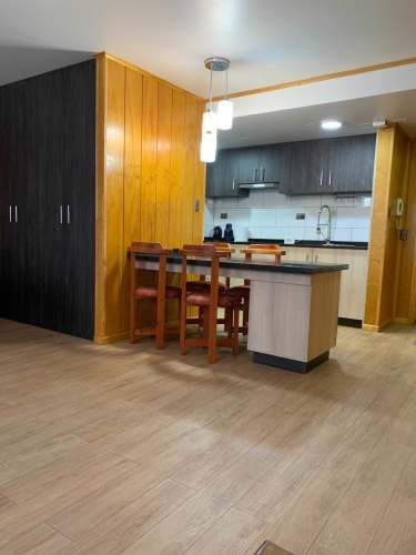 Vende Departamento centro de Concepción (131292)