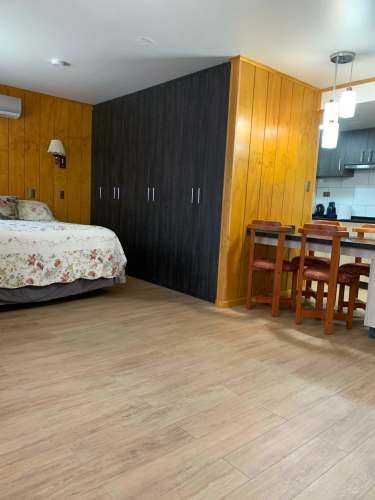 Vende Departamento centro de Concepción (131292)