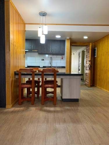 Vende Departamento centro de Concepción (131292)