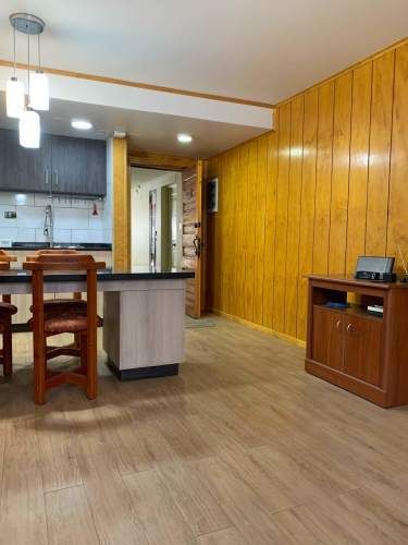 Vende Departamento centro de Concepción (131292)