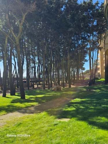 ¡Imperdible! Hermoso Dpto en San Pedro de la Paz