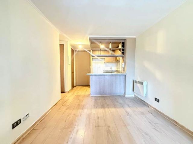 Radal 66 (1 Est /1 Bod)