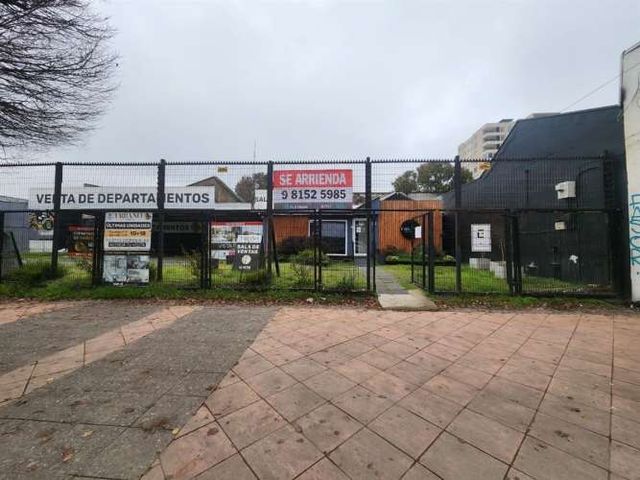 LOCAL COMERCIAL 2 SUR 920