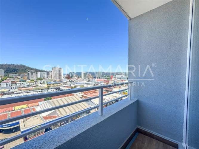 DEPARTAMENTO Angol, Concepción