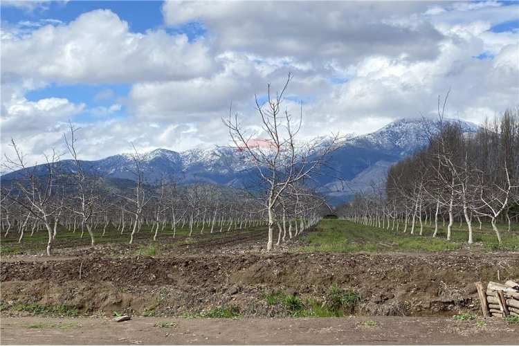Parcela de agrado 5000 mts sin comisión