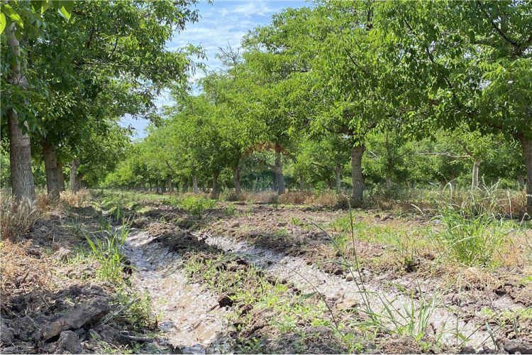 Parcela de agrado 5000 mts sin comisión
