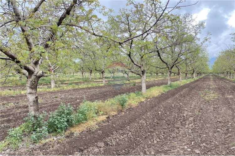 Parcela de agrado 5000 mts sin comisión