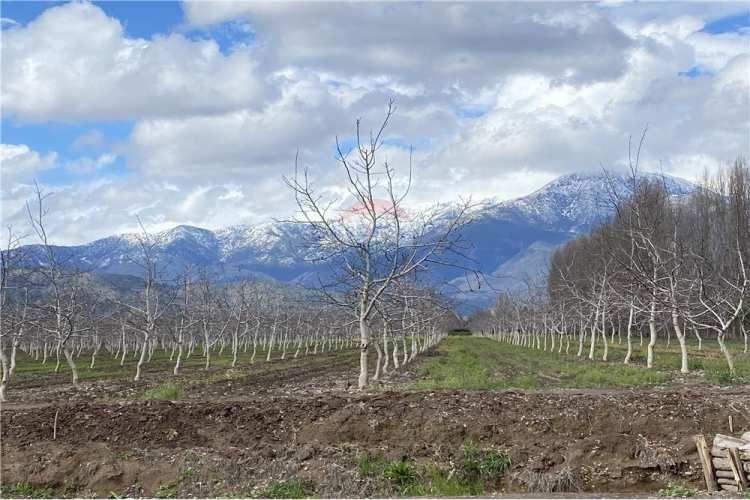 Parcela de agrado 5000 mts sin comisión