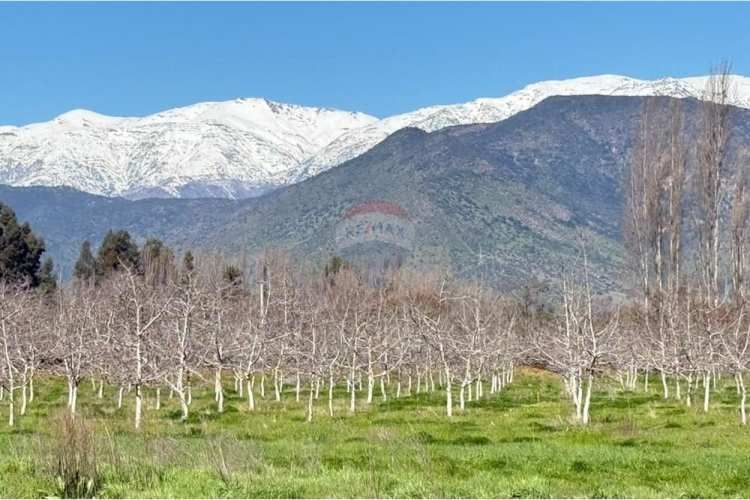 Parcela de agrado 5000 mts sin comisión