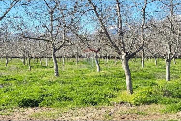 Parcela de agrado 5000 mts sin comisión