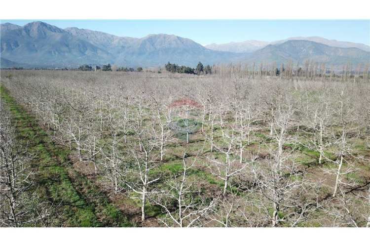 Parcela de agrado 5000 mts sin comisión