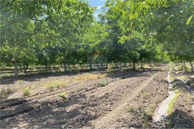 Parcela de agrado 5000 mts sin comisión