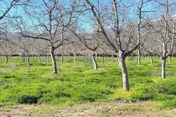 Parcela de agrado 5000 mts sin comisión