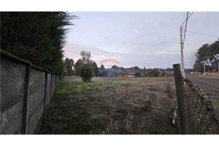 Gran parcela en quillón