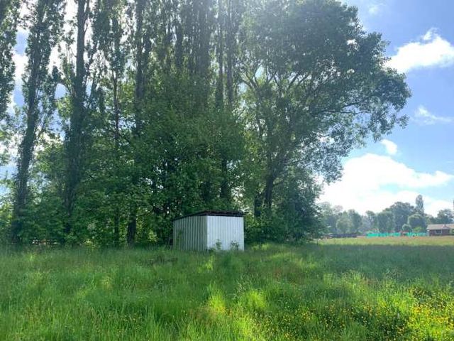 VIVE LA TRANQUILIDAD DEL SUR EN TU PROPIA PARCELA