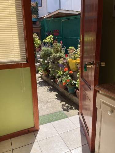 Cabaña amoblada Viña Centro