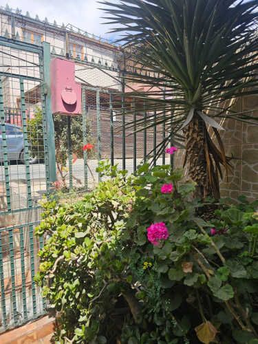 Cercana para movilidad y lugares de servicios (131528)